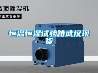 知识百科恒温恒湿试验箱武汉现货
