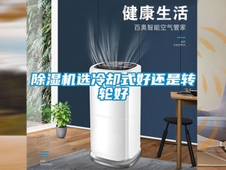 企业香蕉视频APP下载地址香蕉视频一区二区机选冷却式好还是转轮好