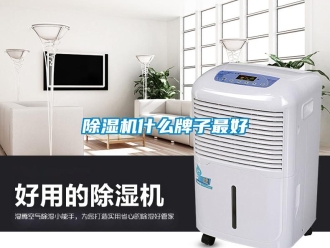 企业香蕉视频APP下载地址香蕉视频一区二区机什么牌子最好