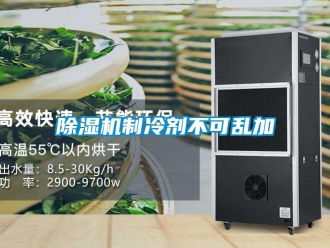 企业香蕉视频APP下载地址香蕉视频一区二区机制冷剂不可乱加