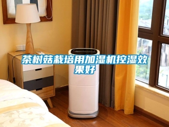 企业香蕉视频APP下载地址茶树菇栽培用加湿机控湿效果好