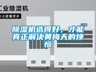 企业香蕉视频APP下载地址香蕉视频一区二区机选得好，才能真正解决黄梅天的烦恼