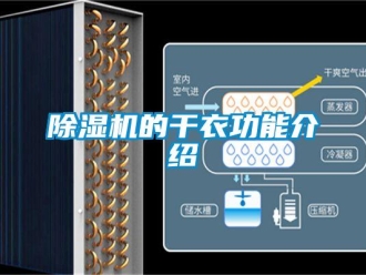 企业香蕉视频APP下载地址香蕉视频一区二区机的干衣功能介绍