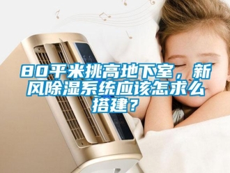 企业香蕉视频APP下载地址80平米挑高地下室，新风香蕉视频一区二区系统应该怎求么搭建？