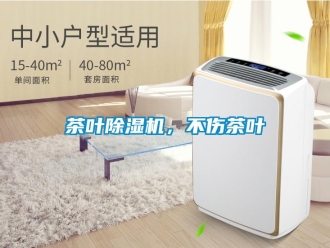 企业香蕉视频APP下载地址茶叶香蕉视频一区二区机，不伤茶叶