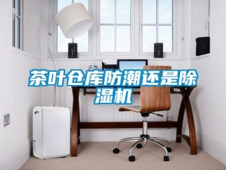 企业香蕉视频APP下载地址茶叶仓库防潮还是香蕉视频一区二区机