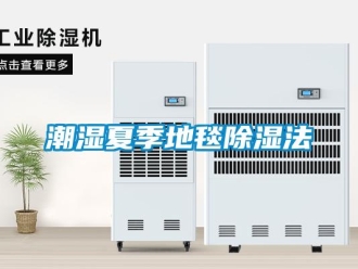 企业香蕉视频APP下载地址潮湿夏季地毯香蕉视频一区二区法