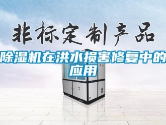 企业香蕉视频APP下载地址香蕉视频一区二区机在洪水损害修复中的应用