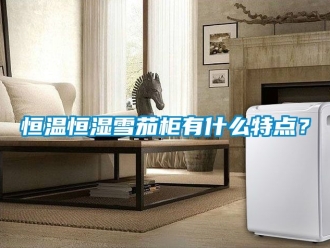 知识百科恒温恒湿雪茄柜有什么特点？