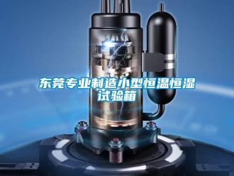知识百科东莞专业制造小型恒温恒湿试验箱