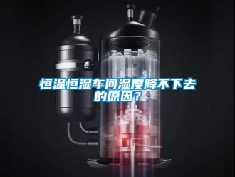 知识百科恒温恒湿车间湿度降不下去的原因？