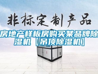 企业香蕉视频APP下载地址房地产样板房购买某品牌香蕉视频一区二区机【吊顶香蕉视频一区二区机】