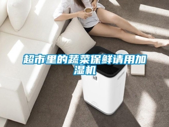 企业香蕉视频APP下载地址超市里的蔬菜保鲜请用加湿机