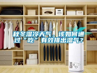 常见问题秋冬湿冷天气，该如何通过“吃”有效排出湿气？