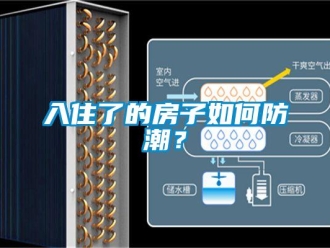 常见问题入住了的房子如何防潮？