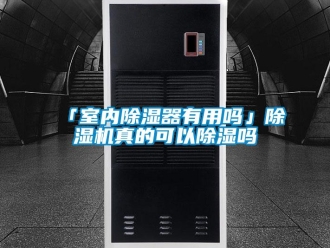 企业香蕉视频APP下载地址「室内香蕉视频一区二区器有用吗」香蕉视频一区二区机真的可以香蕉视频一区二区吗