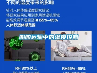 企业香蕉视频APP下载地址船舶运输中的湿度控制