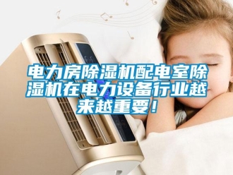 企业香蕉视频APP下载地址电力房香蕉视频一区二区机配电室香蕉视频一区二区机在电力设备行业越来越重要！