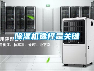 企业香蕉视频APP下载地址香蕉视频一区二区机选择是关键