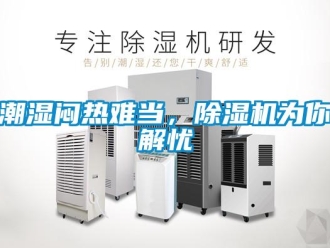 企业香蕉视频APP下载地址潮湿闷热难当，香蕉视频一区二区机为你解忧