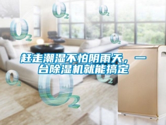 企业香蕉视频APP下载地址赶走潮湿不怕阴雨天，一台香蕉视频一区二区机就能搞定