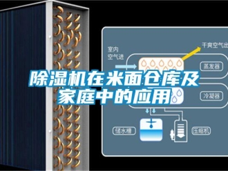 企业香蕉视频APP下载地址香蕉视频一区二区机在米面仓库及家庭中的应用