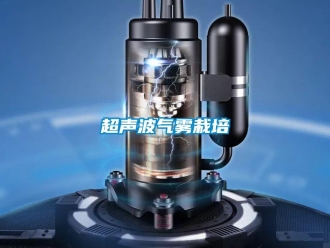 企业香蕉视频APP下载地址超声波气雾栽培