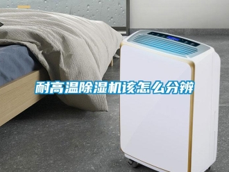 常见问题耐高温香蕉视频一区二区机该怎么分辨