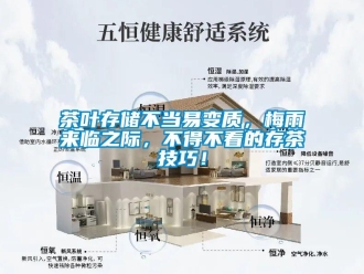 企业香蕉视频APP下载地址茶叶存储不当易变质，梅雨来临之际，不得不看的存茶技巧！