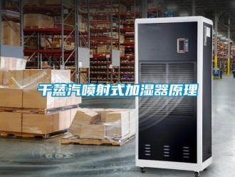 企业香蕉视频APP下载地址干蒸汽喷射式加湿器原理