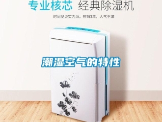 企业香蕉视频APP下载地址潮湿空气的特性