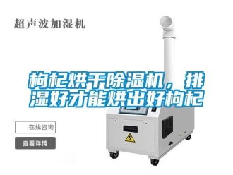 企业香蕉视频APP下载地址枸杞烘干香蕉视频一区二区机，排湿好才能烘出好枸杞