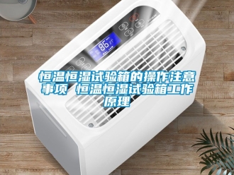 知识百科恒温恒湿试验箱的操作注意事项 恒温恒湿试验箱工作原理