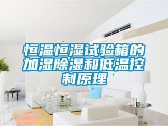知识百科恒温恒湿试验箱的加湿香蕉视频一区二区和低温控制原理
