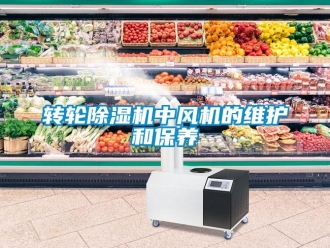 知识百科转轮香蕉视频一区二区机中风机的维护和保养