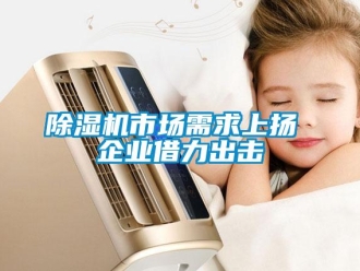 企业香蕉视频APP下载地址香蕉视频一区二区机市场需求上扬 企业借力出击