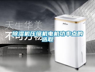 企业香蕉视频APP下载地址香蕉视频一区二区机压缩机电机功率点的选取