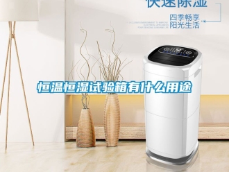 知识百科恒温恒湿试验箱有什么用途