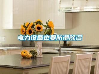 企业香蕉视频APP下载地址电力设备也要防潮香蕉视频一区二区