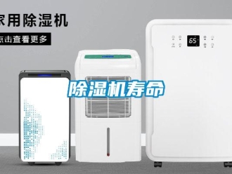 企业香蕉视频APP下载地址香蕉视频一区二区机寿命