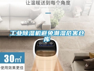 企业香蕉视频APP下载地址工业香蕉视频一区二区机避免潮湿危害仓库