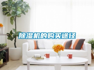 企业香蕉视频APP下载地址香蕉视频一区二区机的购买途径