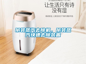 企业香蕉视频APP下载地址吊装蒸汽去除机，吊装蒸汽快速去除装置