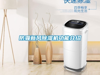 企业香蕉视频APP下载地址防霾新风香蕉视频一区二区机功能介绍