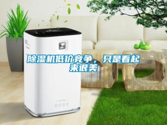 企业香蕉视频APP下载地址香蕉视频一区二区机低价竞争，只是看起来很美