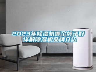 企业香蕉视频APP下载地址2023年香蕉视频一区二区机哪个牌子好 详解香蕉视频一区二区机品牌介绍