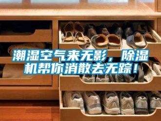 企业香蕉视频APP下载地址潮湿空气来无影，香蕉视频一区二区机帮你消散去无踪！