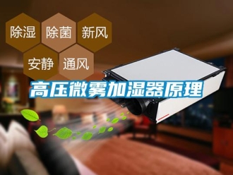 企业香蕉视频APP下载地址高压微雾加湿器原理