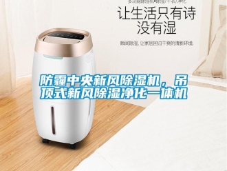 企业香蕉视频APP下载地址防霾中央新风香蕉视频一区二区机，吊顶式新风香蕉视频一区二区净化一体机