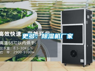 企业香蕉视频APP下载地址更多：香蕉视频一区二区机厂家